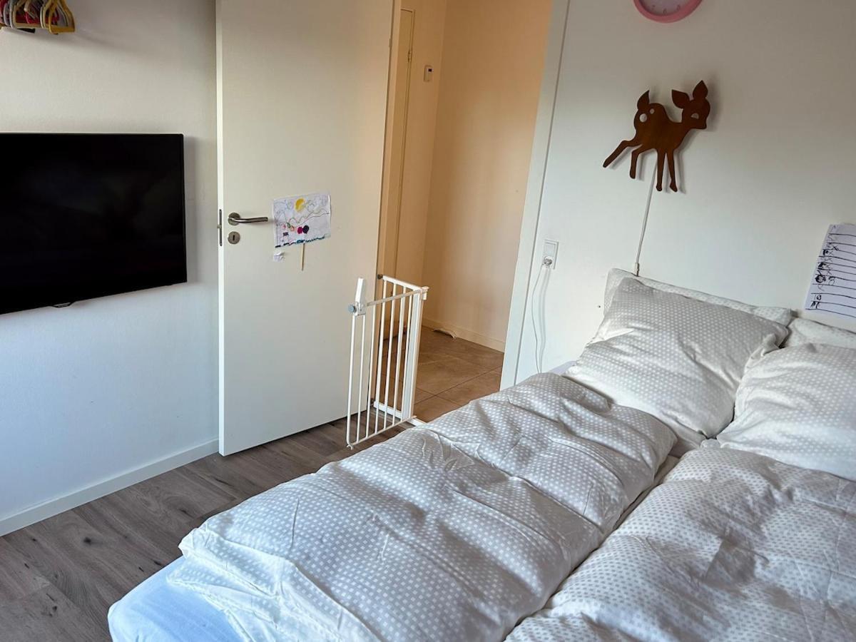 New Near Rosengard, City, E20 & Congress C